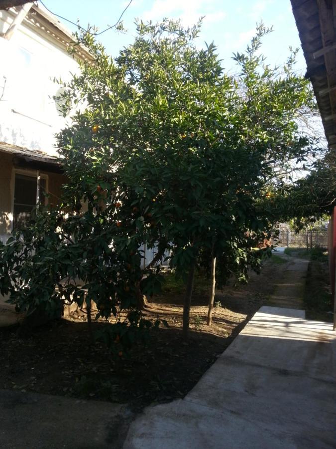 Guest house Yuzhnaya Palmira Pizunda Bagian luar foto