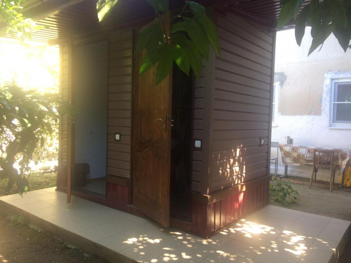 Guest house Yuzhnaya Palmira Pizunda Bagian luar foto